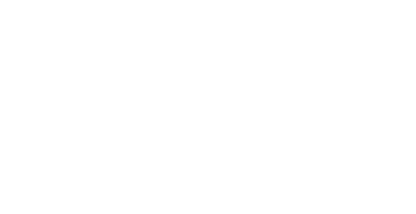 Pluna Corretor de Seguros